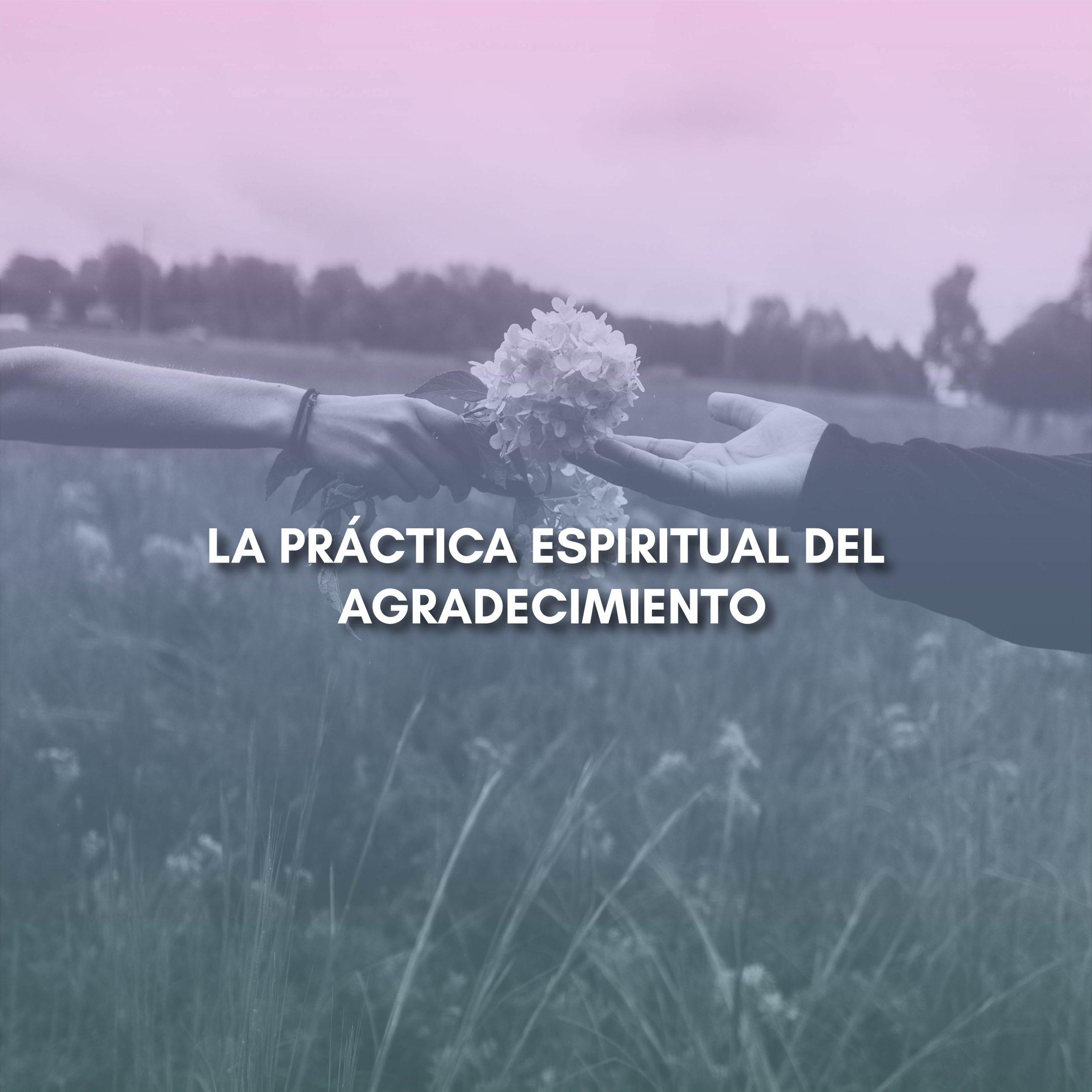Lee más sobre el artículo LA PRÁCTICA ESPIRITUAL DEL AGRADECIMIENTO
