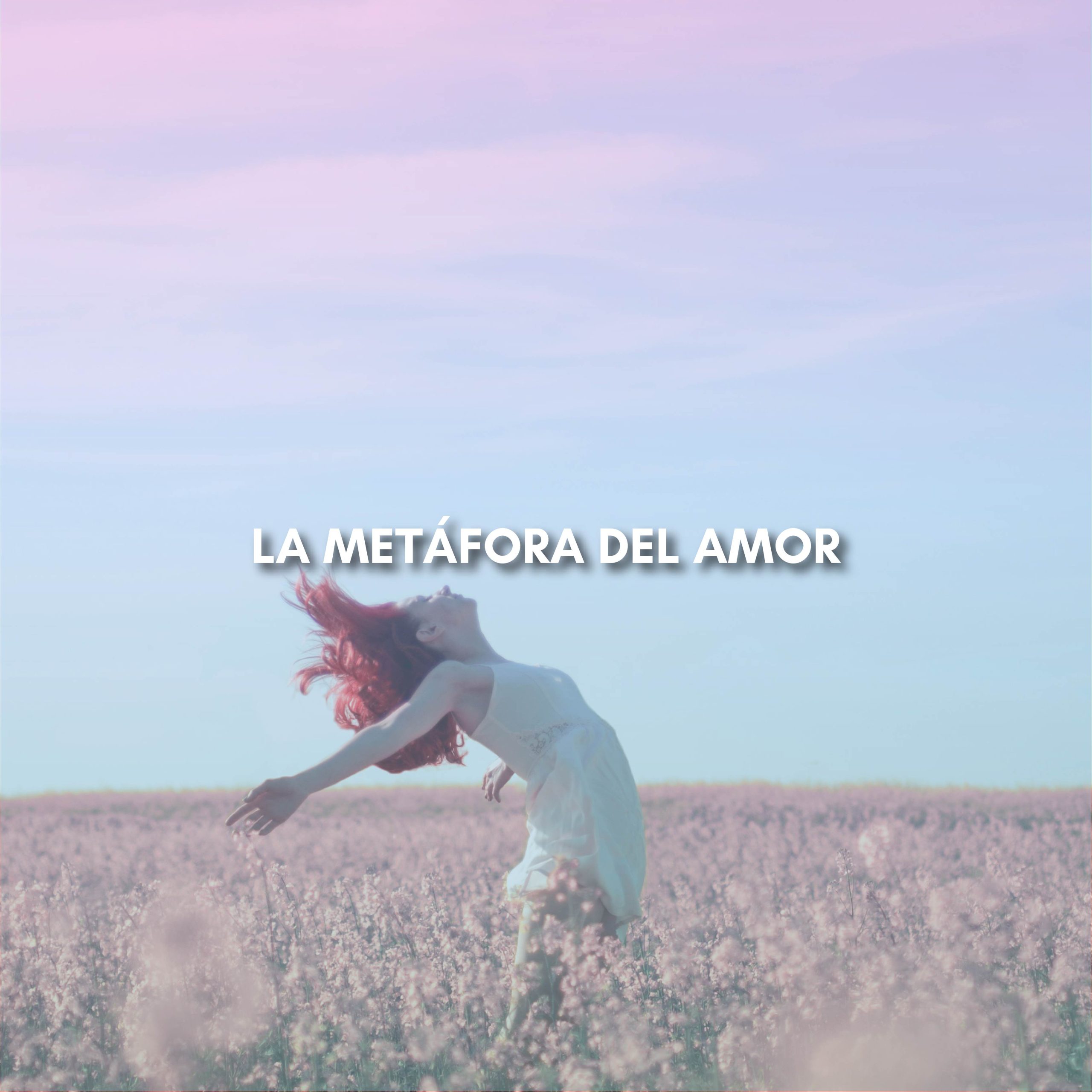Lee más sobre el artículo LA METÁFORA DEL AMOR