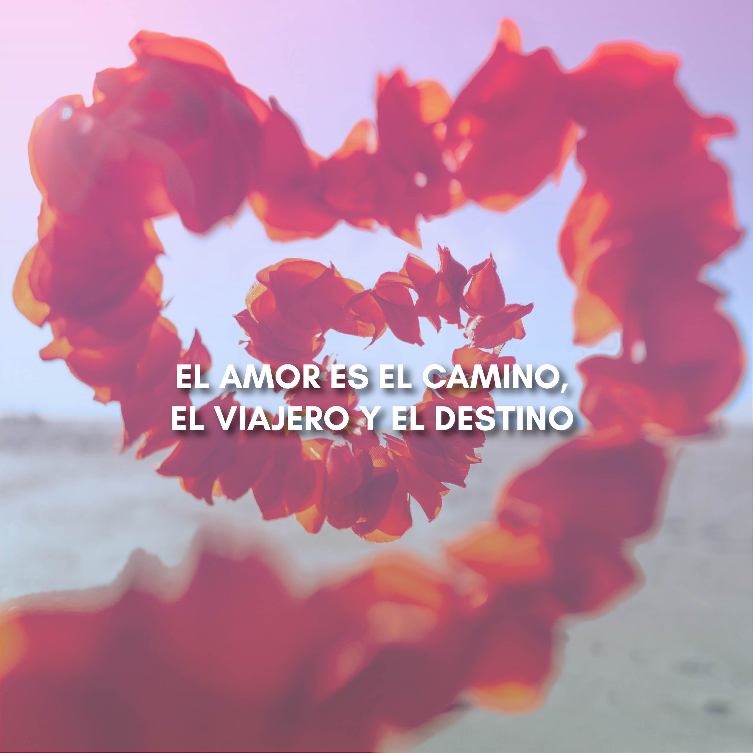Lee más sobre el artículo EL AMOR ES EL CAMINO, EL VIAJERO Y EL DESTINO