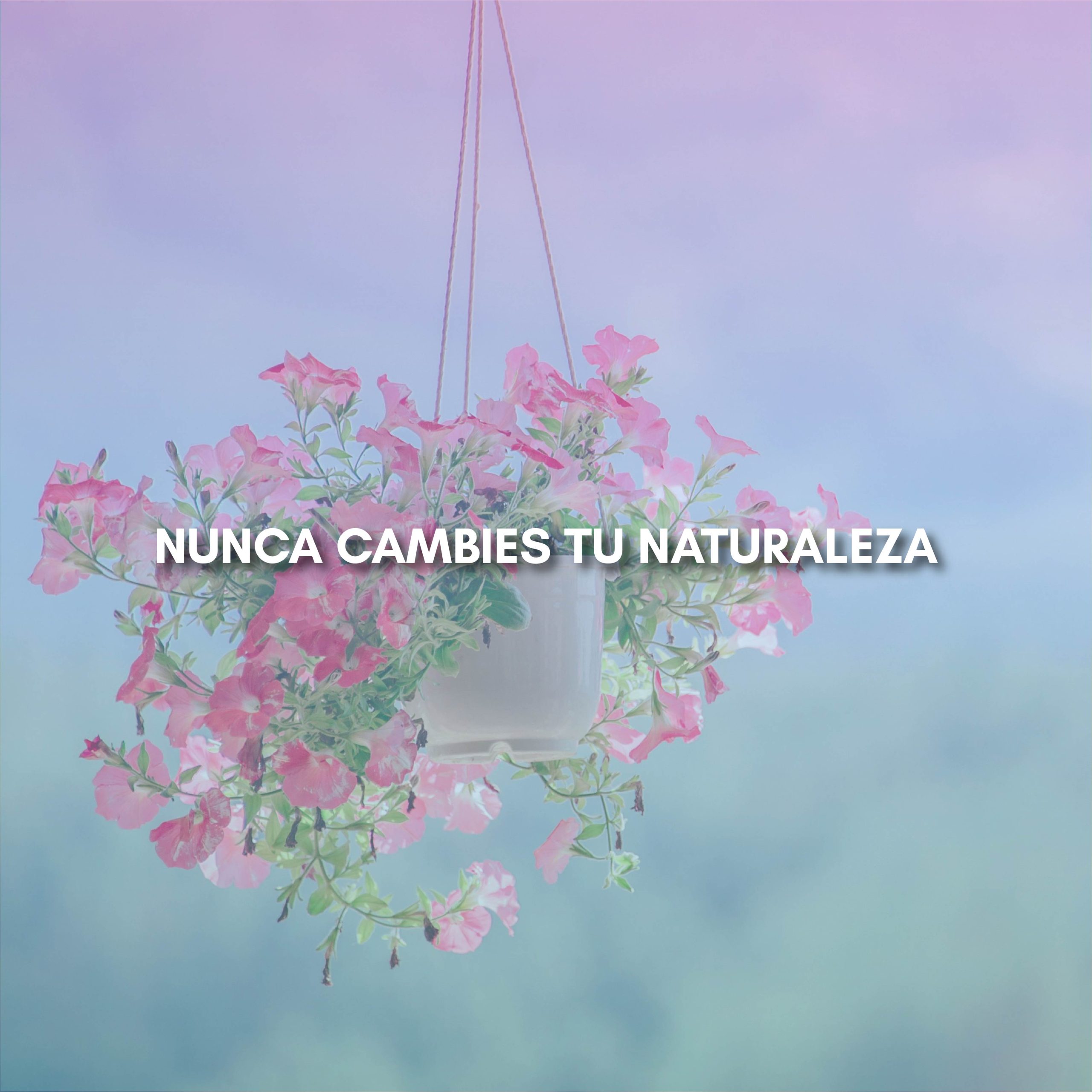 Lee más sobre el artículo NUNCA CAMBIES TU NATURALEZA
