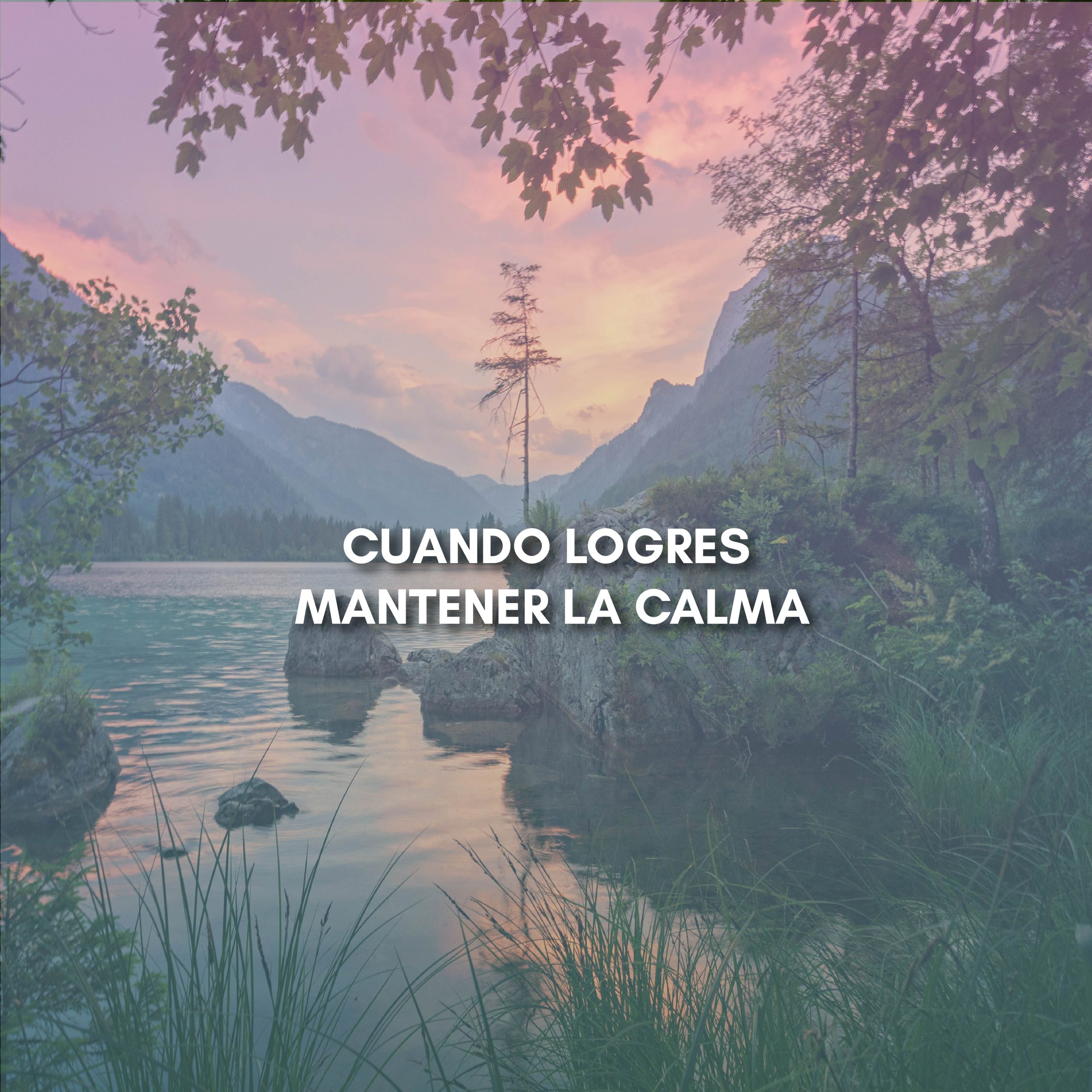 Lee más sobre el artículo CUANDO LOGRES MANTENER LA CALMA