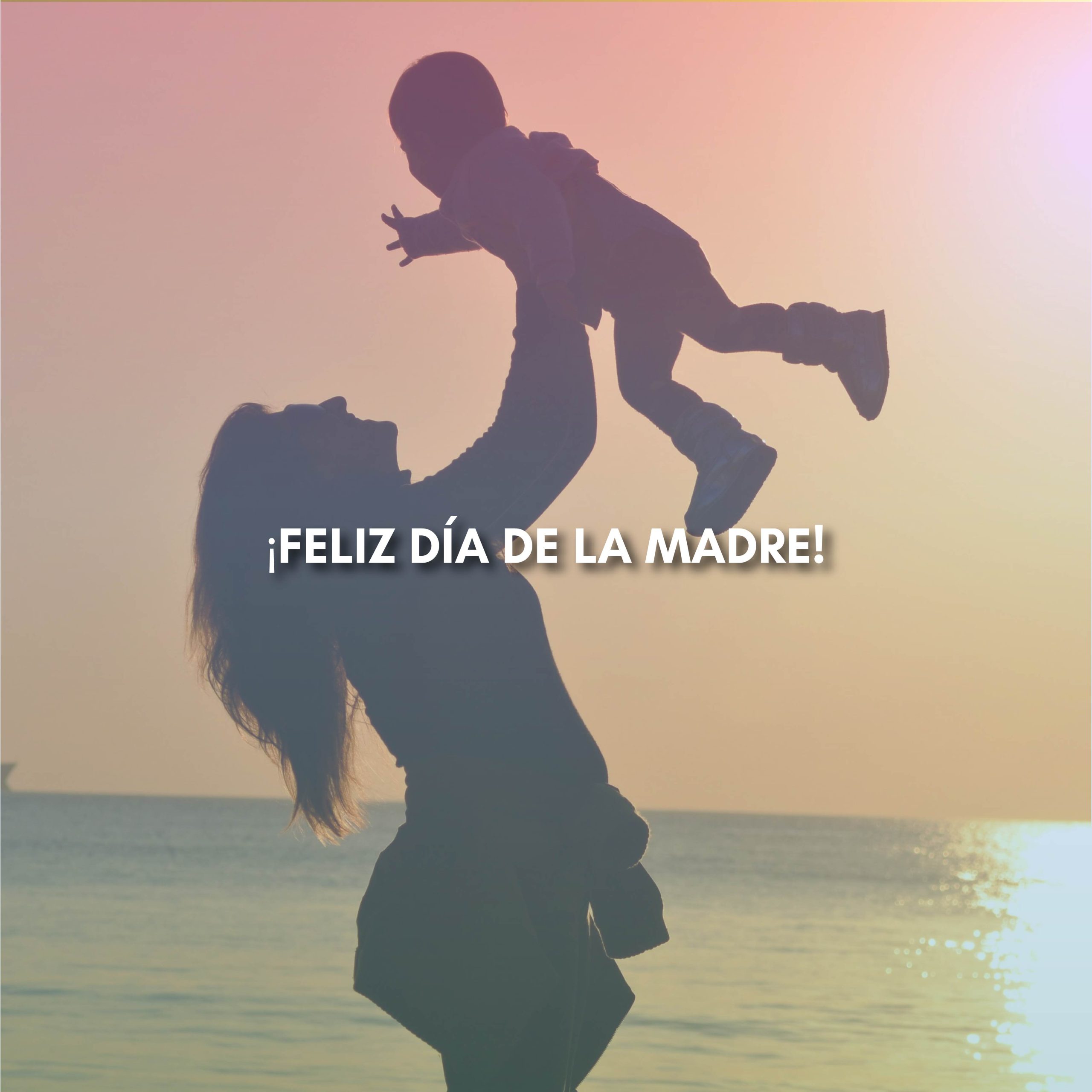 Lee más sobre el artículo ¡FELIZ DÍA DE LA MADRE!