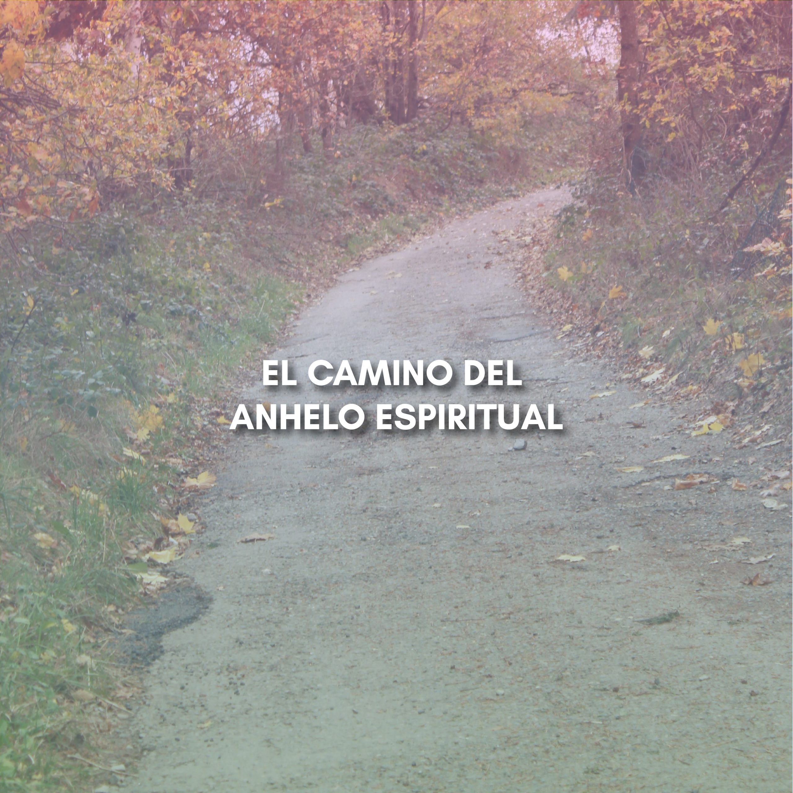 Lee más sobre el artículo EL CAMINO DEL ANHELO ESPIRITUAL