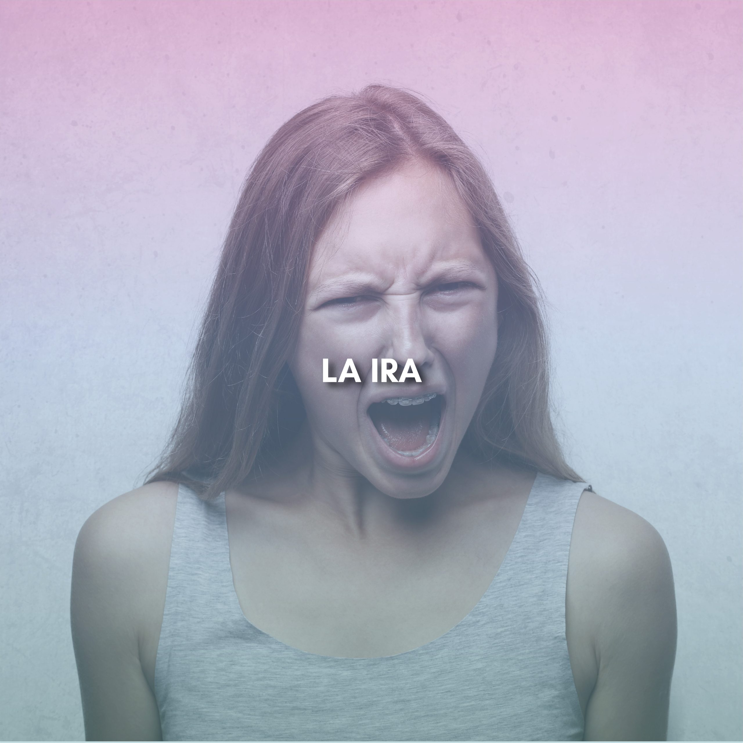 Lee más sobre el artículo LA IRA