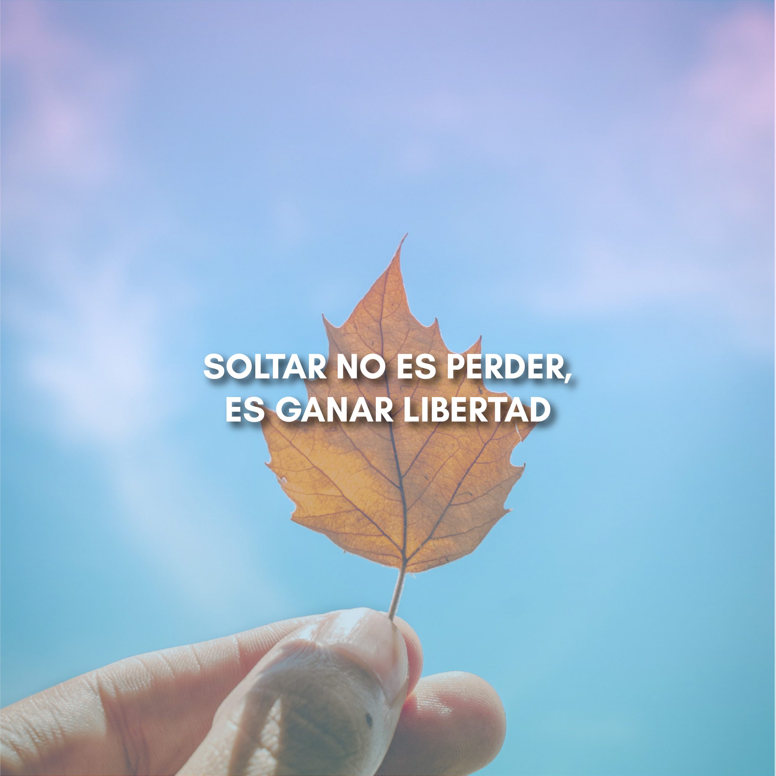 Lee más sobre el artículo SOLTAR NO ES PERDER, ES GANAR LIBERTAD