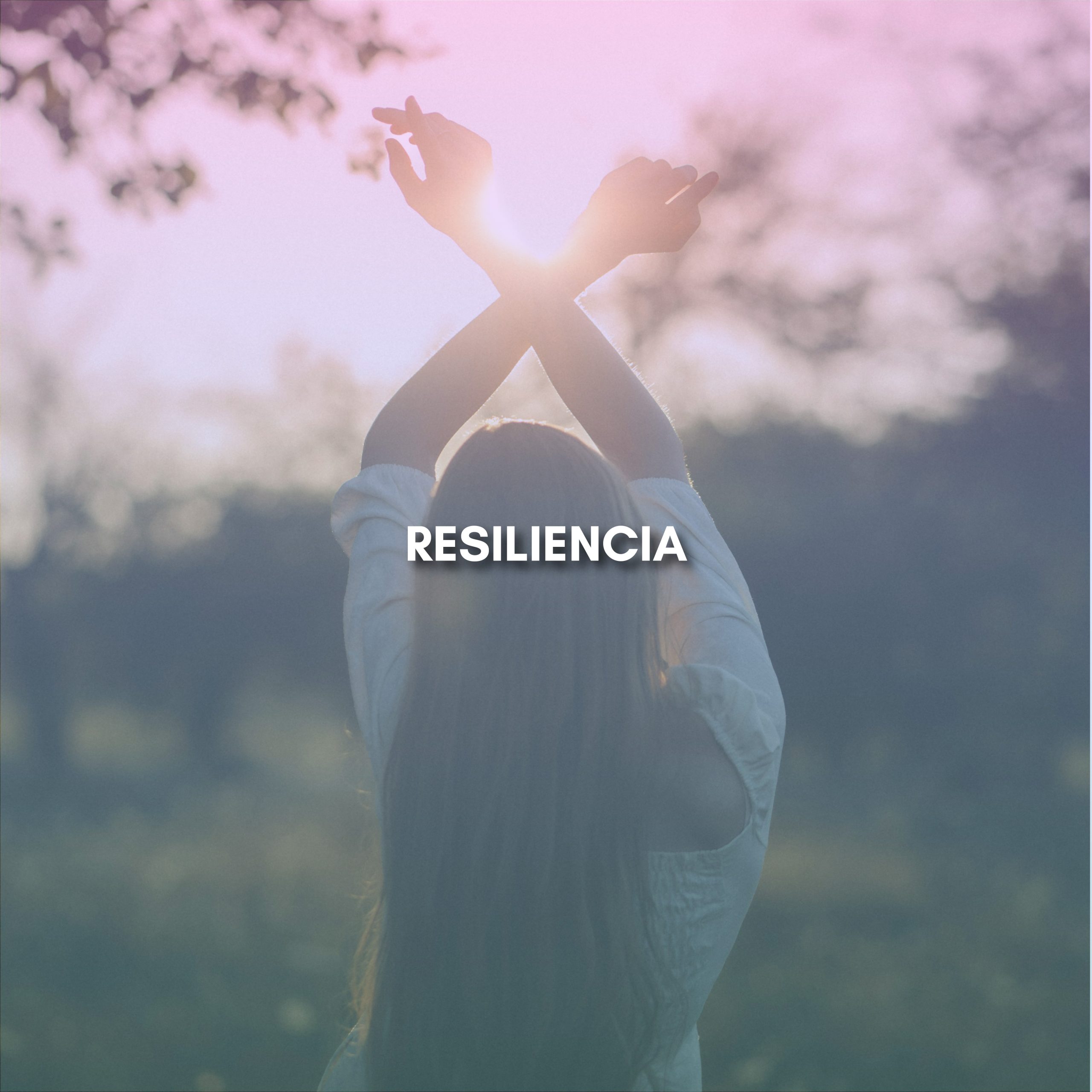 Lee más sobre el artículo RESILIENCIA