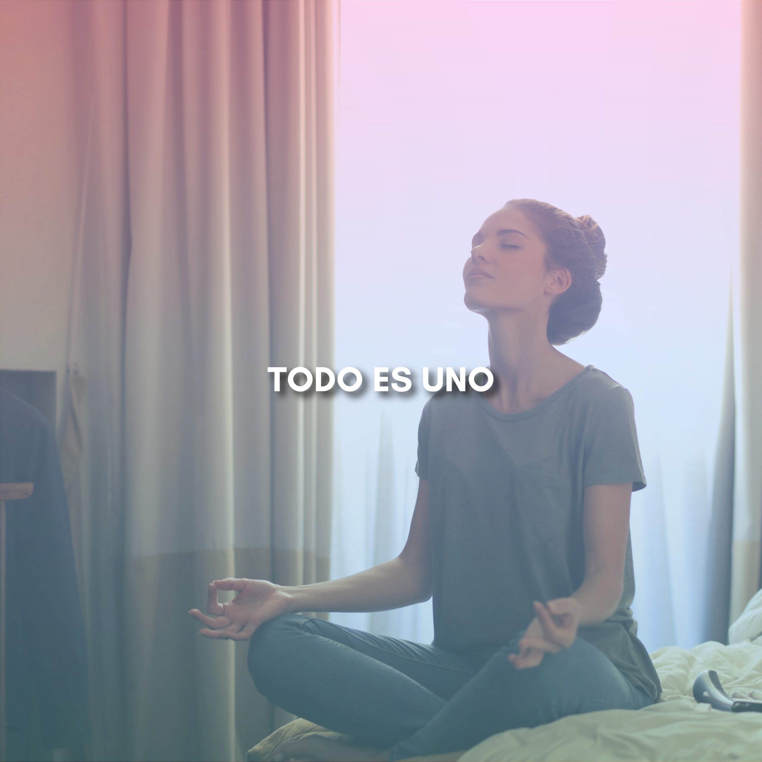 Lee más sobre el artículo TODO ES UNO