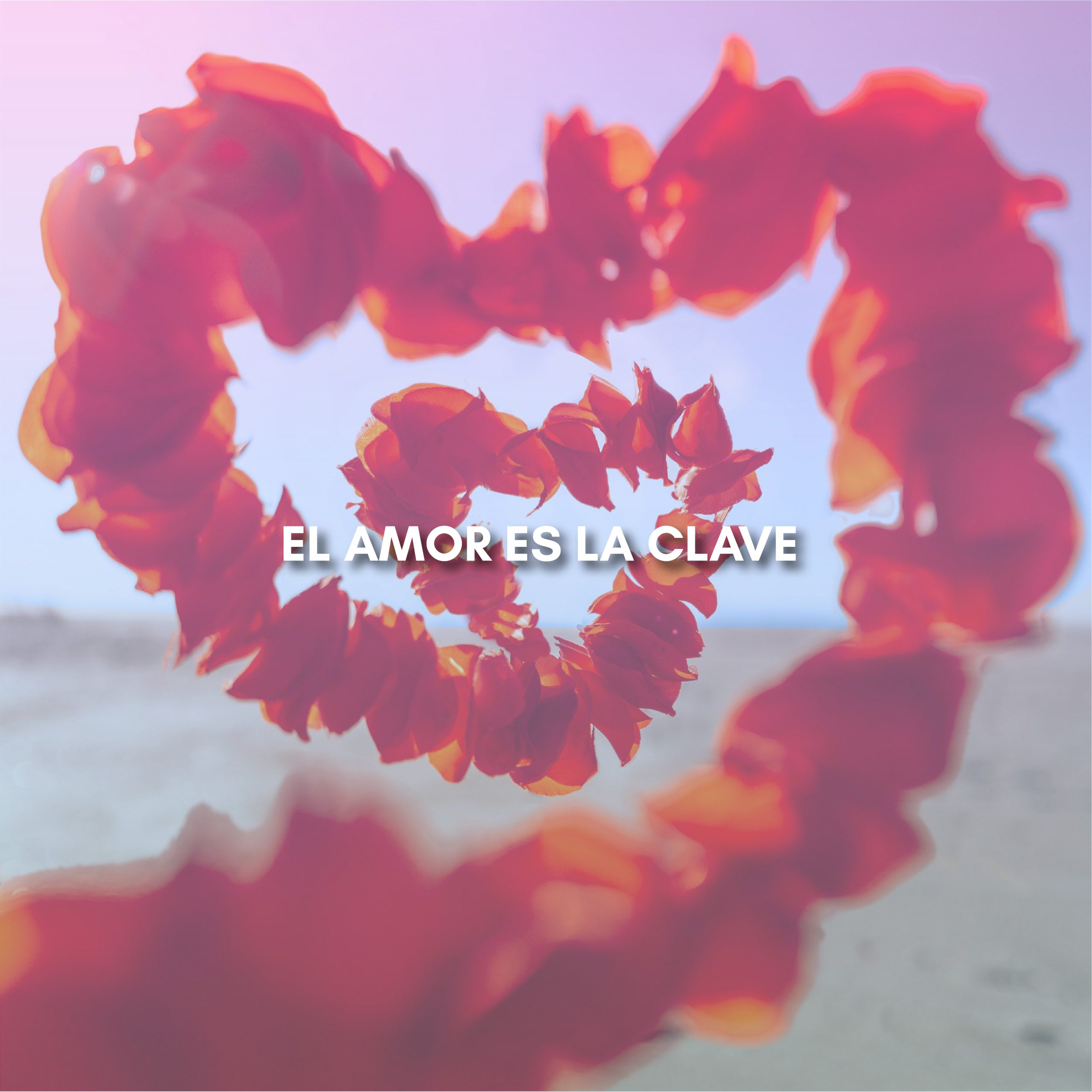 Lee más sobre el artículo EL AMOR ES LA CLAVE