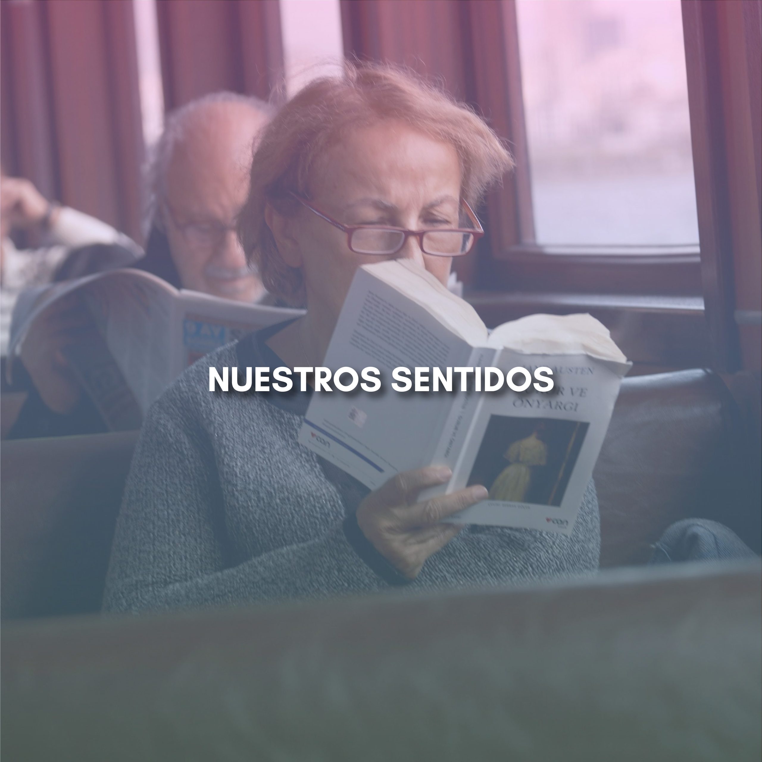 Lee más sobre el artículo NUESTROS SENTIDOS