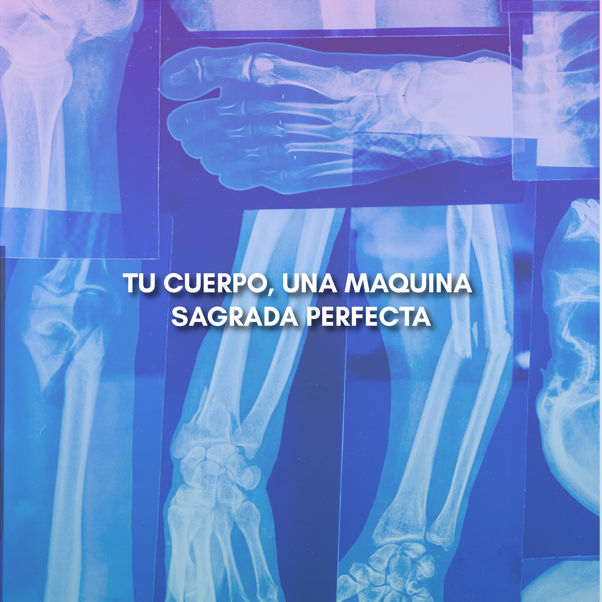 Lee más sobre el artículo TU CUERPO, UNA MAQUINA SAGRADA PERFECTA