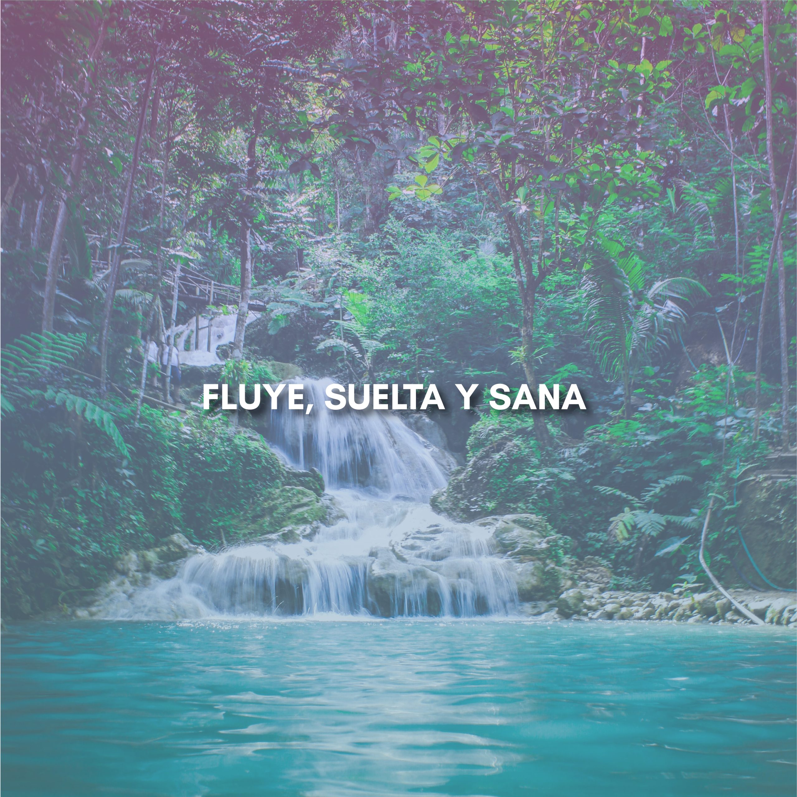 Lee más sobre el artículo FLUYE, SUELTA Y SANA