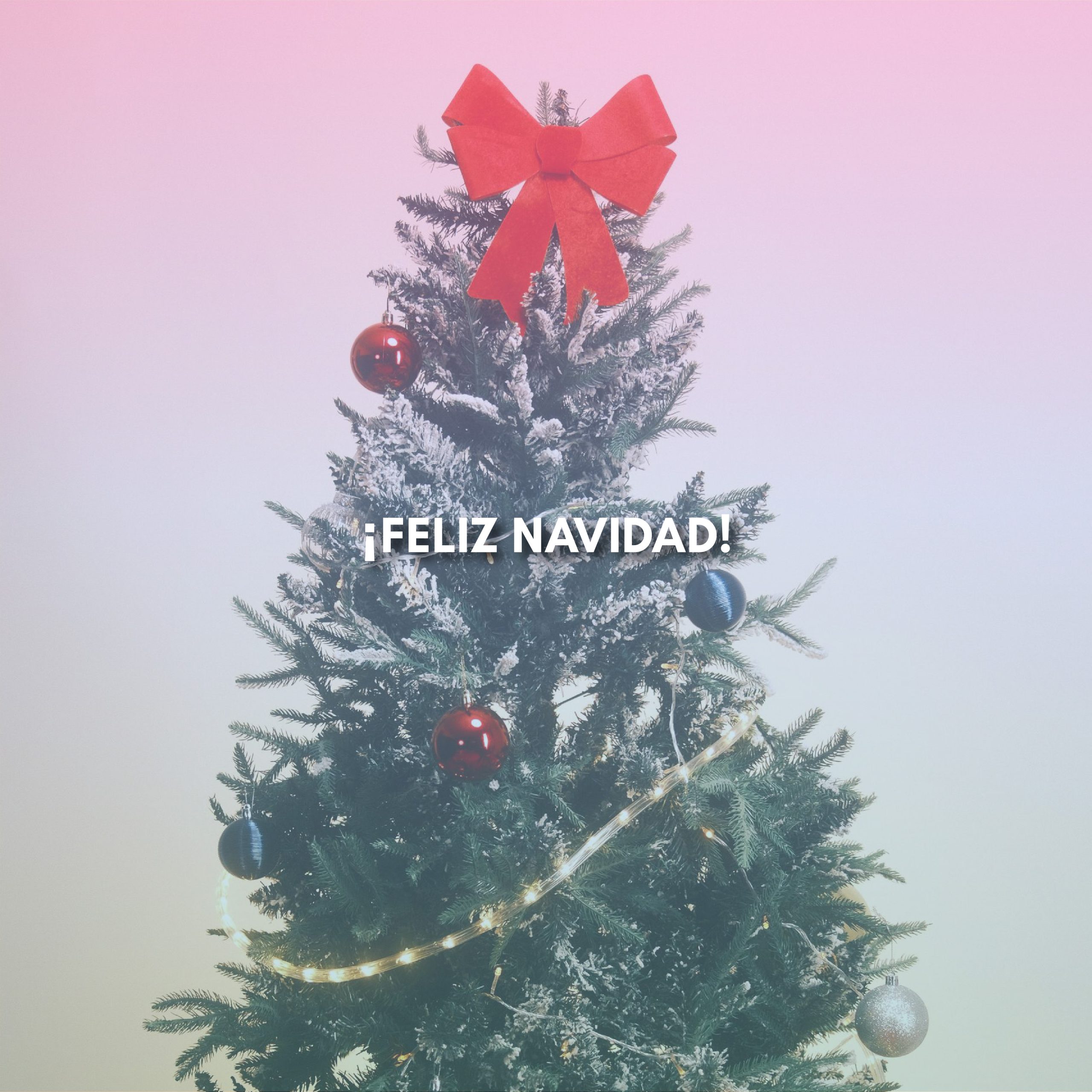 Lee más sobre el artículo ¡FELIZ NAVIDAD!