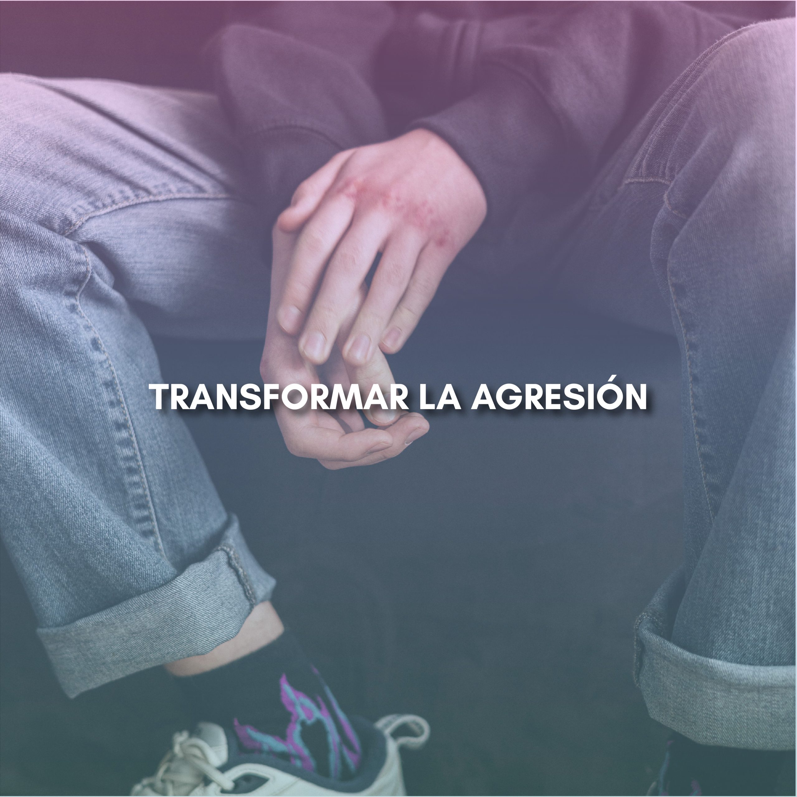 Lee más sobre el artículo TRANSFORMAR LA AGRESIÓN