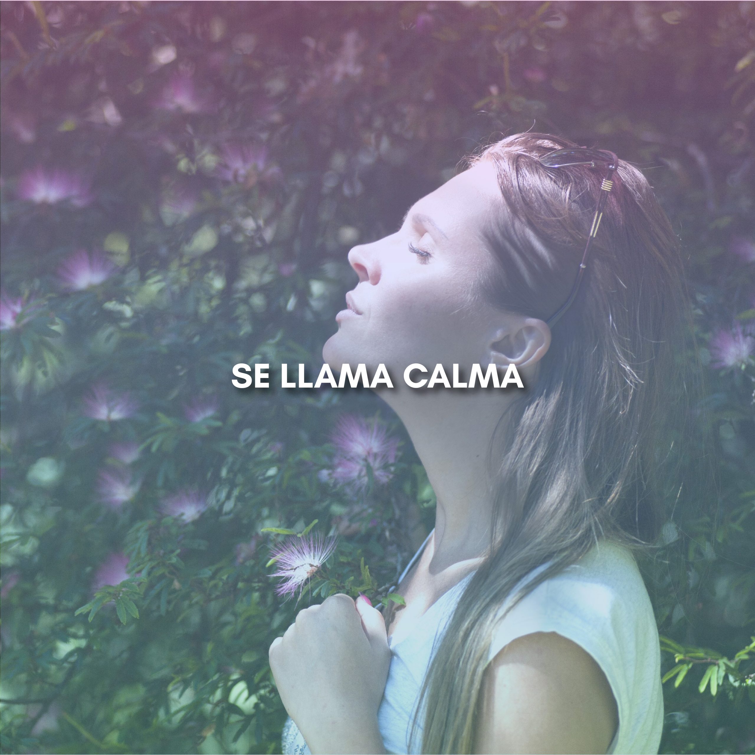 Lee más sobre el artículo SE LLAMA CALMA