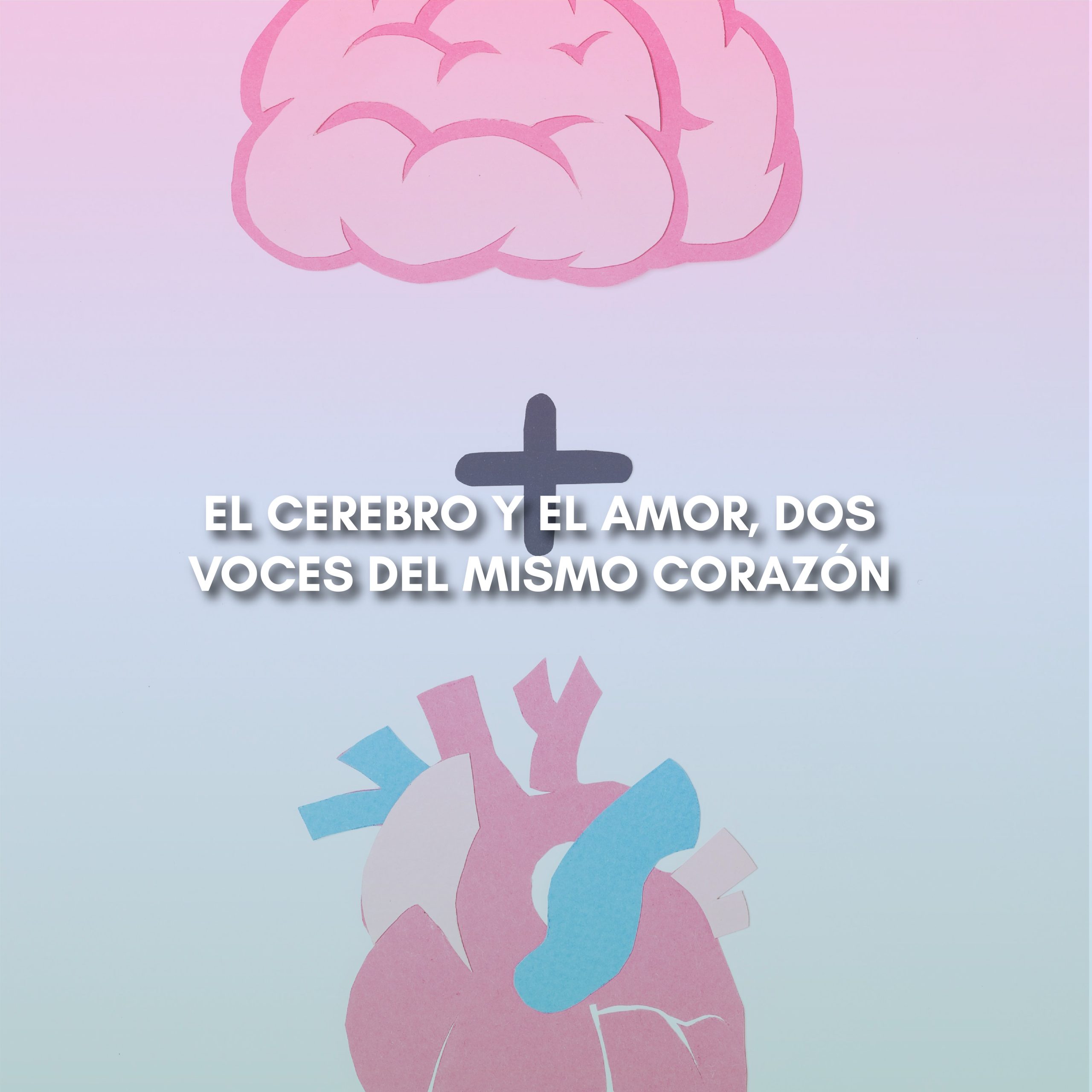 Lee más sobre el artículo EL CEREBRO Y EL AMOR, DOS VOCES DEL MISMO CORAZÓN