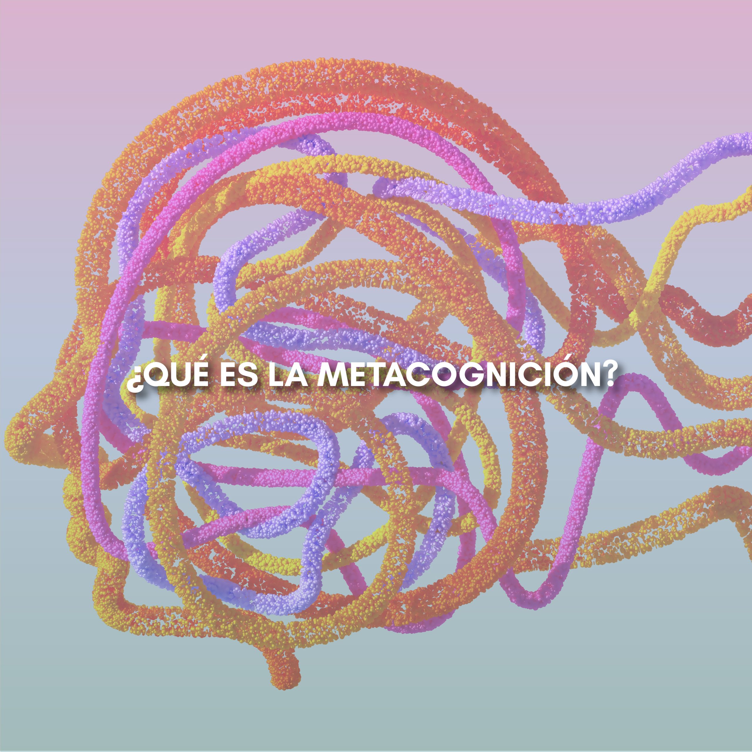 Lee más sobre el artículo ¿QUÉ ES LA METACOGNICIÓN?