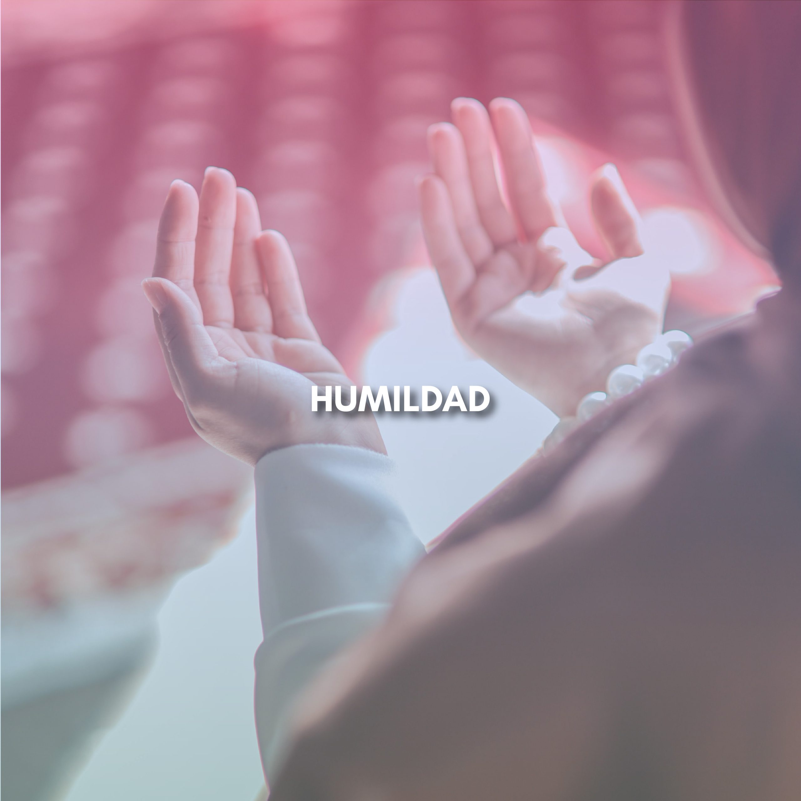 Lee más sobre el artículo HUMILDAD