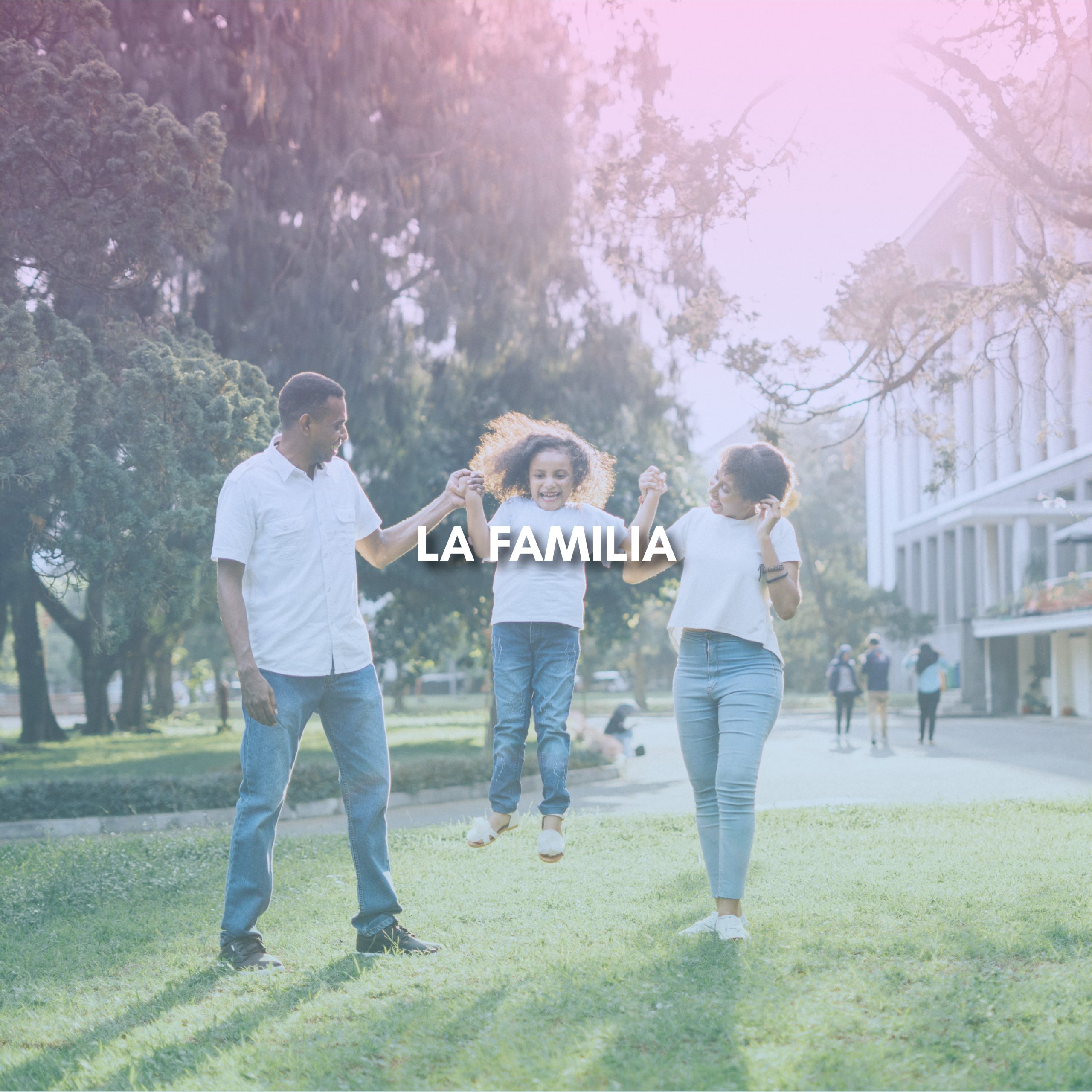 Lee más sobre el artículo LA FAMILIA