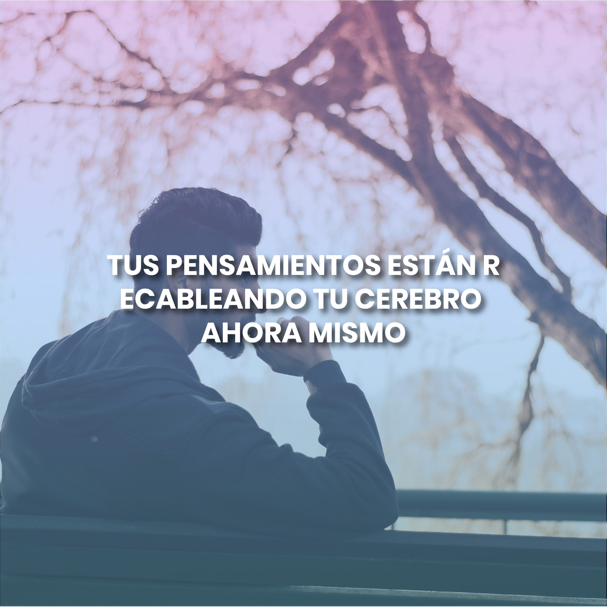 Lee más sobre el artículo TUS PENSAMIENTOS ESTÁN RECABLEANDO TU CEREBRO AHORA MISMO